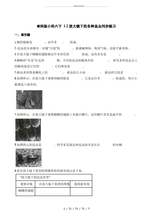 六年级下册科学一课一练 1.2放大镜下的昆虫世界 教科版(含答案)