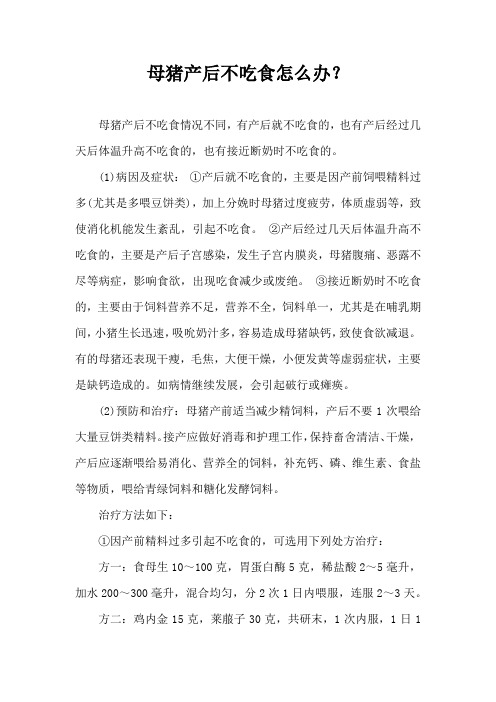 母猪产后不吃食怎么办？