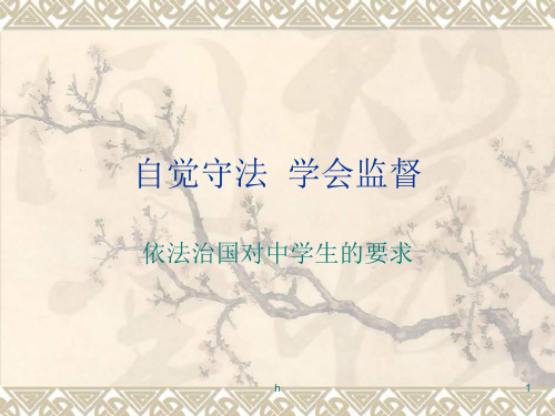 九年级政治做个护法小使者