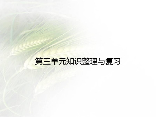 七年级历史下册第三单元知识整理与复习