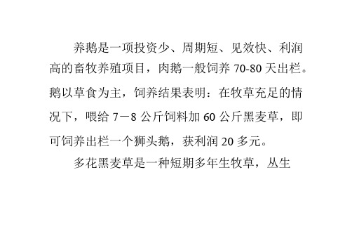 种草养鹅技术