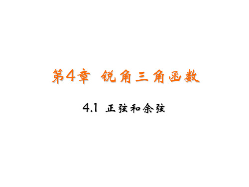 4.1  正弦和余弦  课件湘教版数学九年级上册