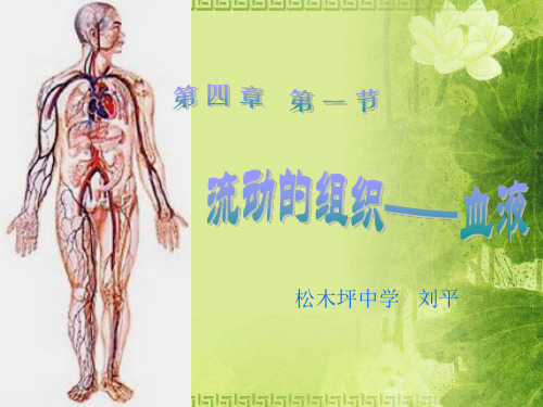 流动的组织——血液PPT课件8 人教版