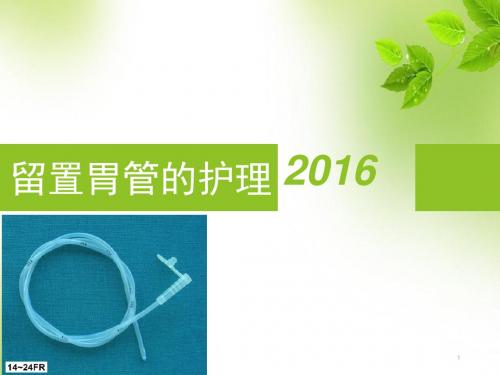 留置胃管的护理ppt课件