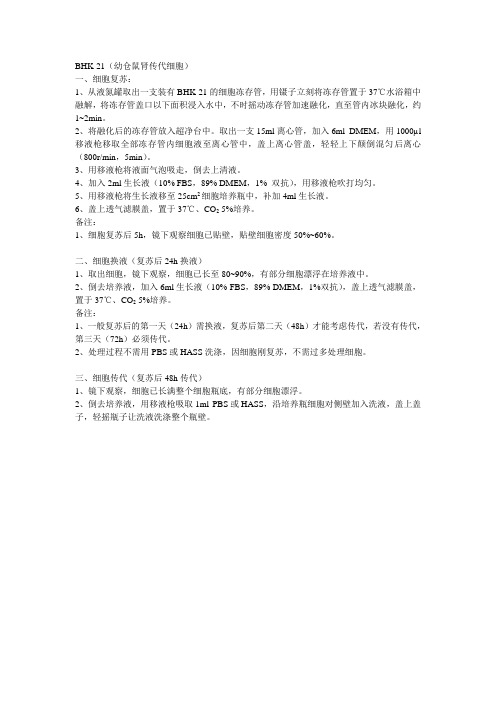 BHK细胞培养技术