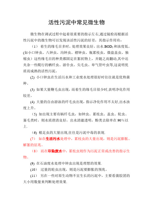污水处理常见微生物高清晰照片及说明