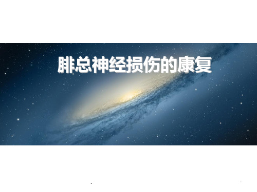 腓总神经损伤的康复ppt演示课件
