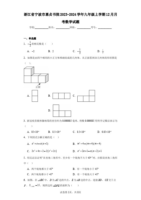 浙江省宁波市惠贞书院2023-2024学年九年级上学期12月月考数学试题