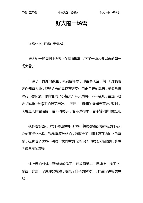 好大的一场雪作文【小学五年级400字】