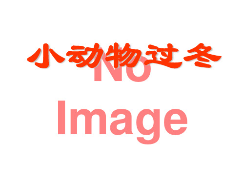 《小动物过冬》PPT课件4