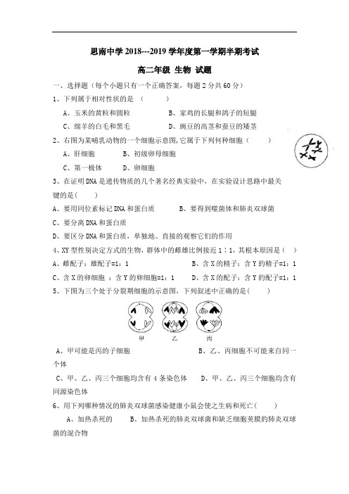 高二上学期半期考试生物试题 含答案