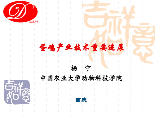 杨宁-蛋鸡产业技术重要进展PPT课件