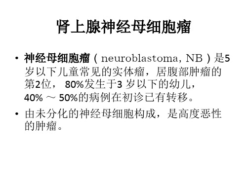 肾上腺神经母细胞瘤PPT