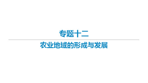 2021届新高考艺体生专用地理一轮复习 知识点复习专题十二 农业地域的形成与发展  课件
