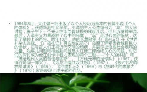 外国文学作品选《万延元年的足球队》课件