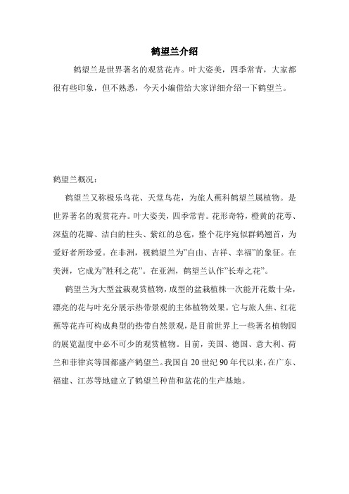 鹤望兰介绍.doc