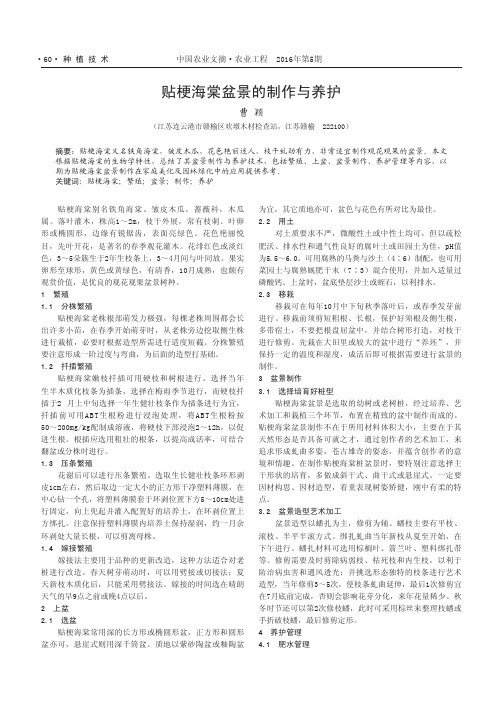 贴梗海棠盆景的制作与养护