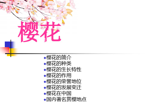 樱花知识介绍精品PPT课件