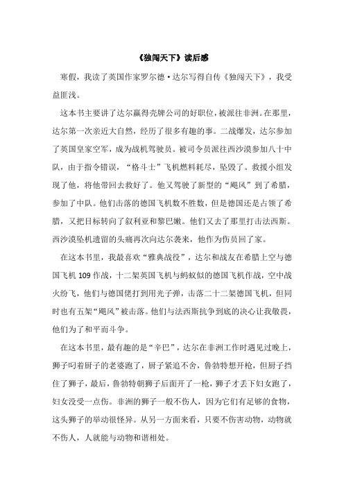 《独闯天下》读后感