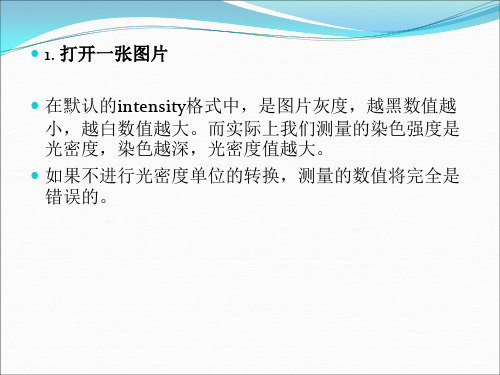 IPP专业图片分析软件使用方法PPT