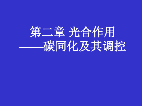 光合碳同化及其调节