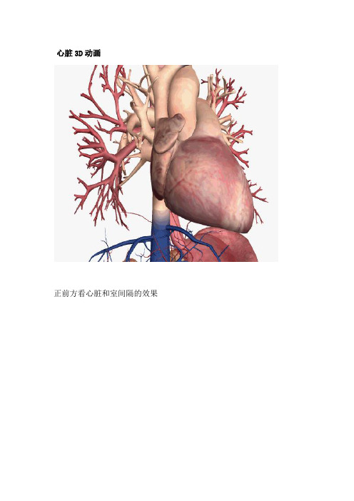3D动画图解心脏大体解剖(医学专业必收藏)