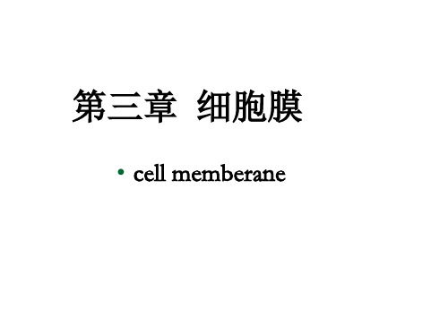 4细胞膜的分子生物学-75页PPT精品文档