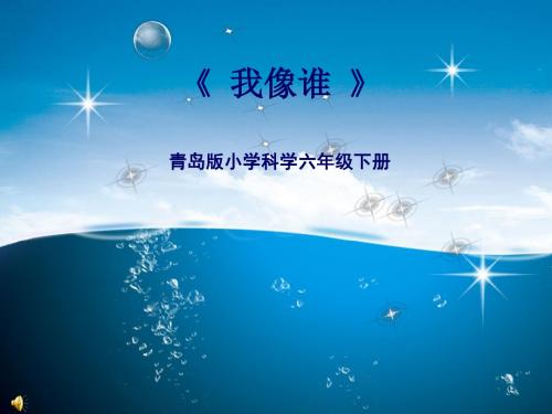 青岛版小学科学六年级下册《我像谁》课件