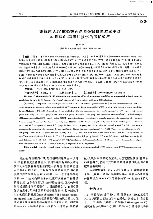线粒体ATP敏感性钾通道在缺血预适应中对心肌缺血-再灌注损伤的保护效应