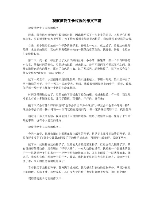 观察植物生长过程的作文三篇