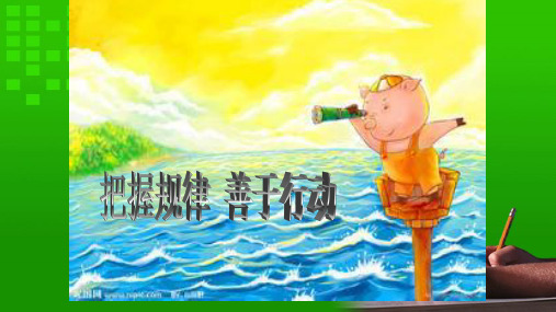 把握规律 善于行动