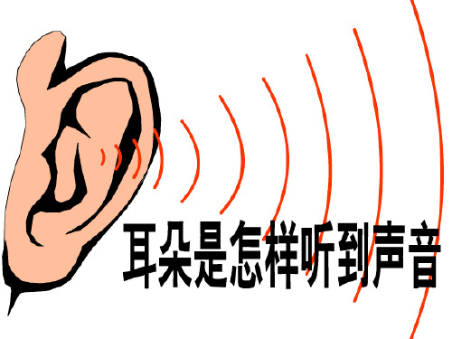 七年级科学耳和听觉1(整理2019年11月)