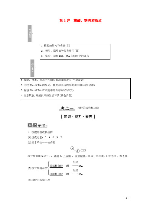 2021高考生物一轮复习第1单元细胞及其分子组成第4讲核酸、糖类和脂质教学案新人教版必修1