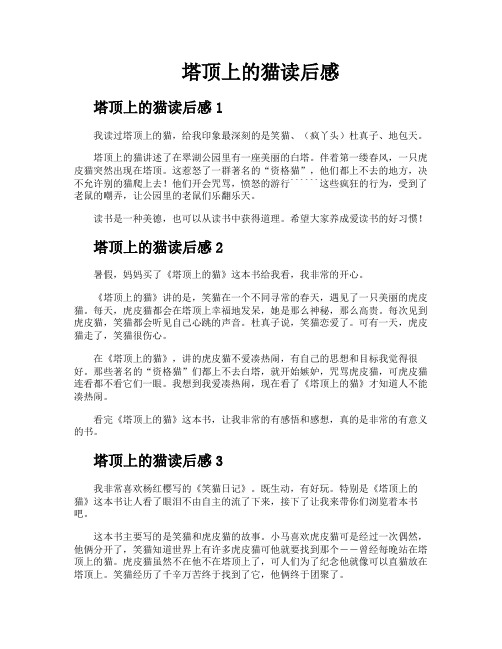 塔顶上的猫读后感