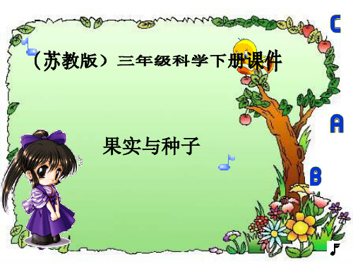 果实和种子课件PPT 苏教版三年级科学下册课件