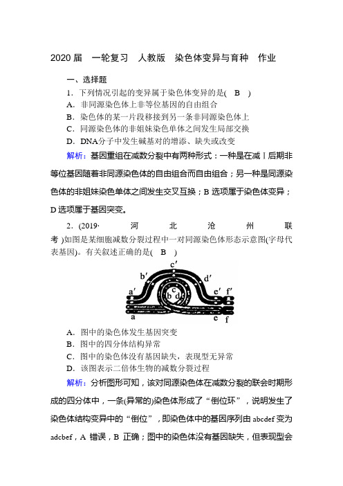 2020年高考  一轮复习  人教版  染色体变异与育种  作业.doc