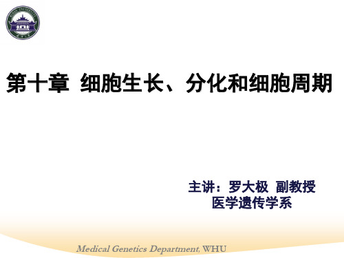 第十章 细胞生长、分化和细胞周期2