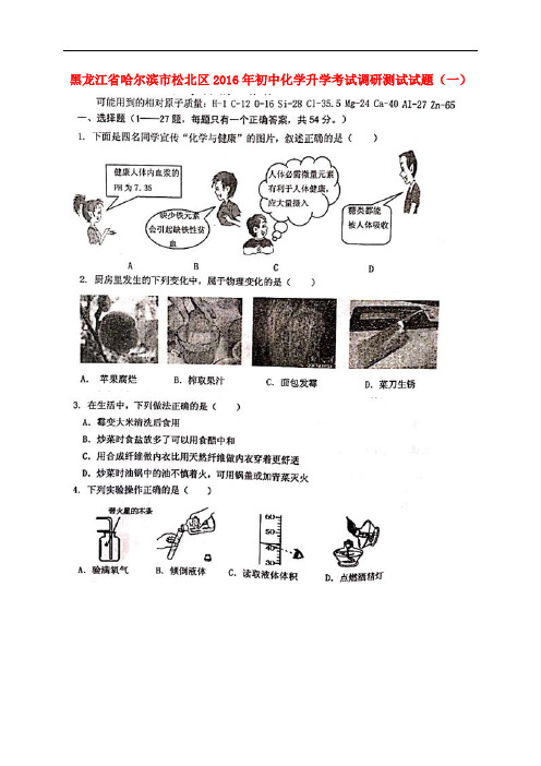 黑龙江省哈尔滨市松北区初中化学升学考试调研测试试题(一)(扫描版)