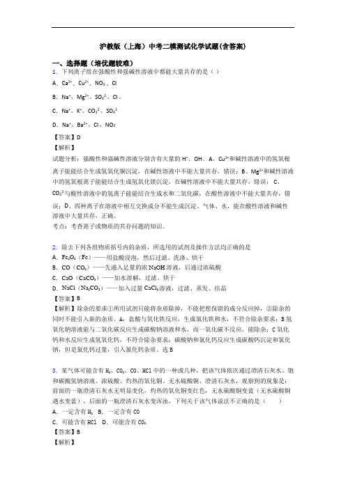 沪教版(上海)中考二模测试化学试题(含答案)