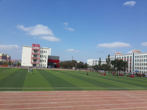 数学北师大版八年级下册与圆有关的不规则图形的面积计算