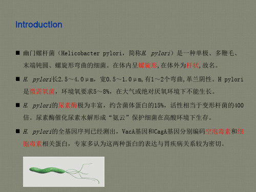C13尿素呼气试验