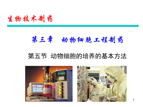 动物细胞大量培养的方法和操作方式