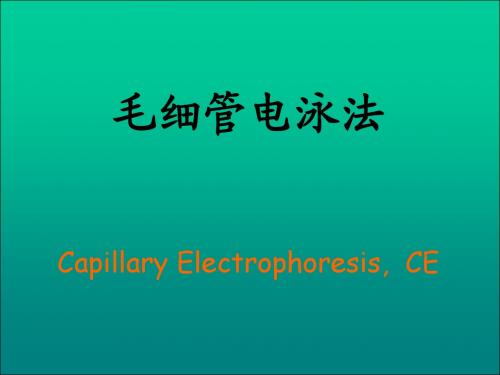7.2 毛细管电泳法