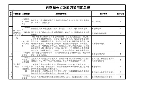自评扣分点及原因说明汇总表