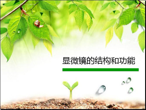 显微镜的结构和功能