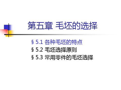 第五章_毛坯的选择(20133)