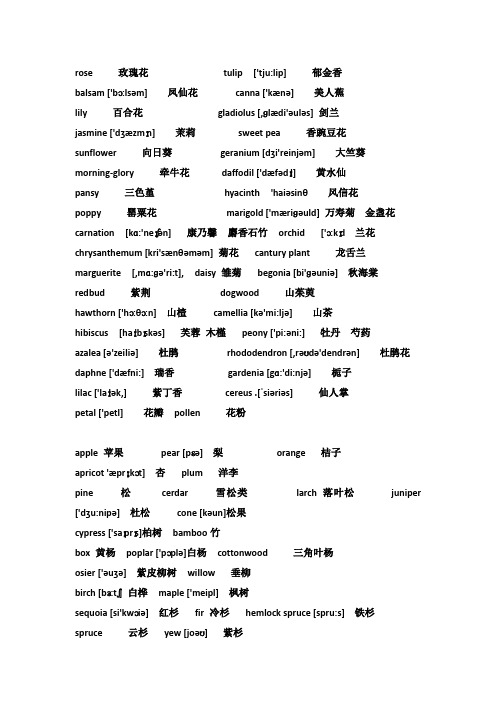 常用花、树的英文单词