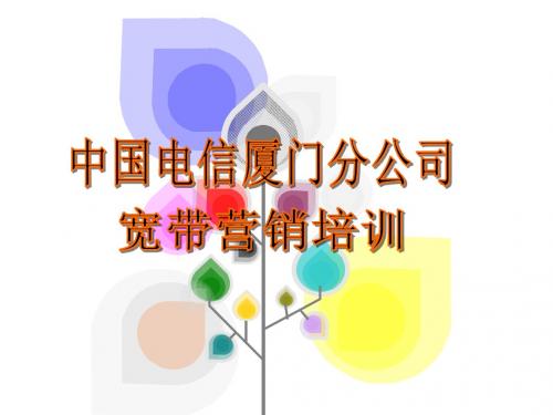 宽带营销培训-PPT课件