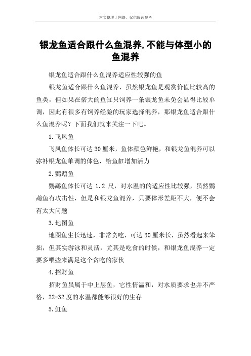 银龙鱼适合跟什么鱼混养,不能与体型小的鱼混养