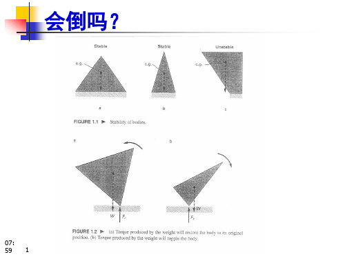 人体静力学与平衡解析课件